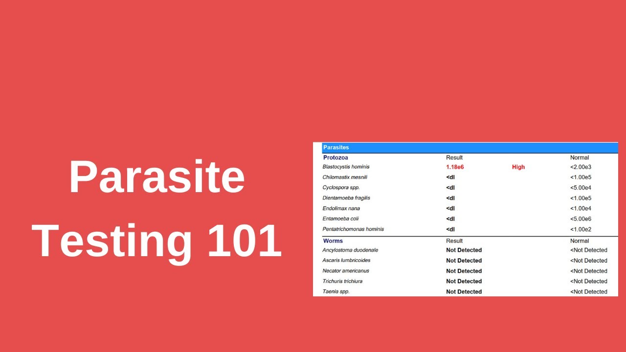 What’s The Best Test For Parasites?