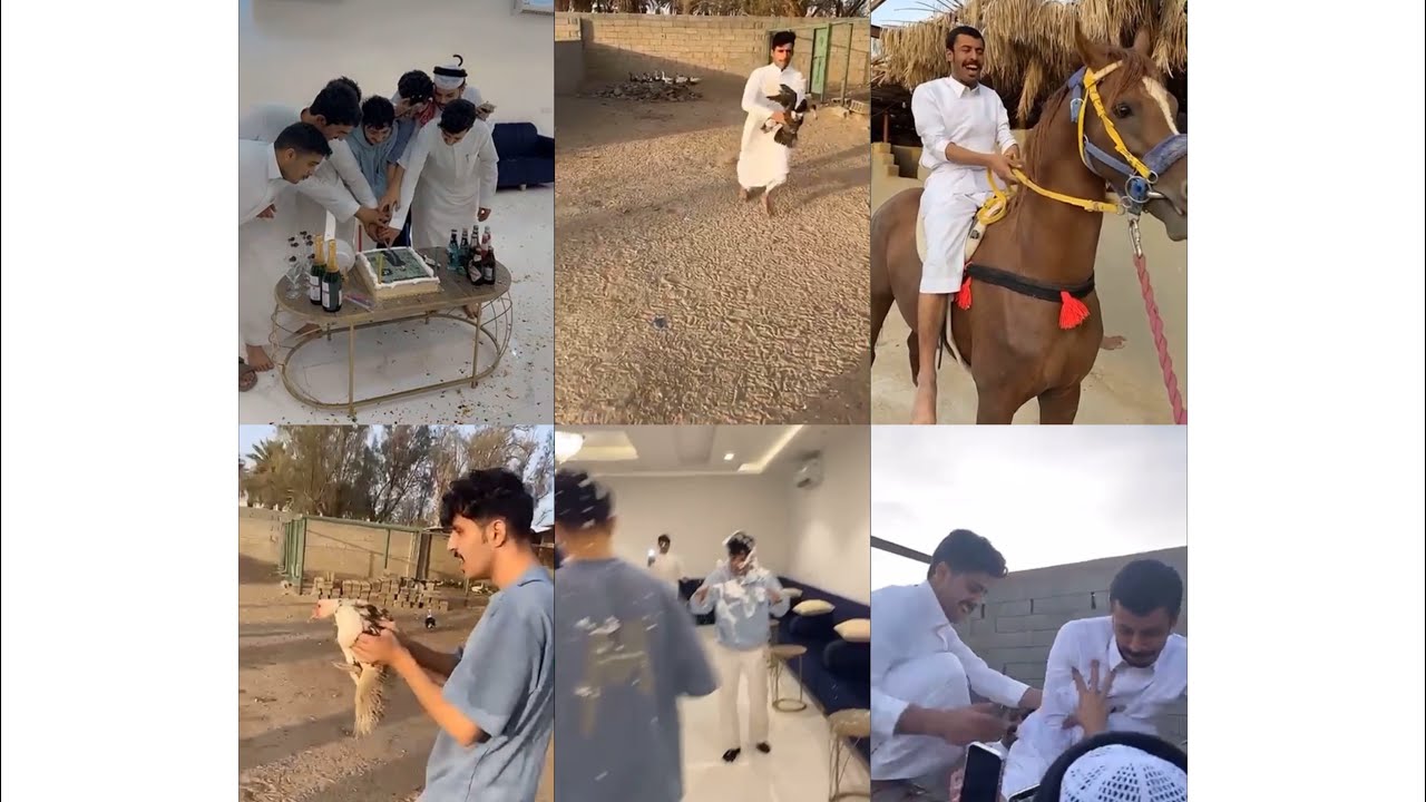 فعاليات بالمزرعة 😂 / سنابات زايد بن ناجيه و هباس ومحمد الطوالة و نواف بن منصور فـ بيشة