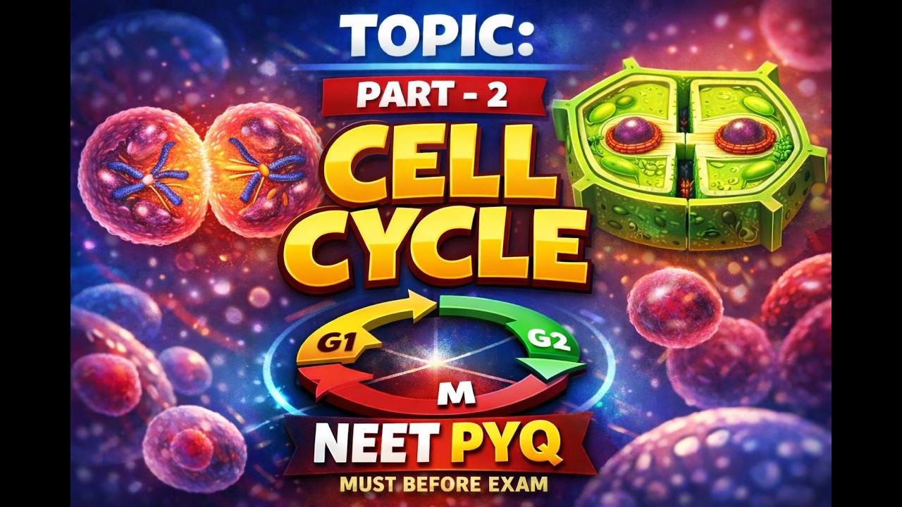 Cell Cycle part-2 | NEET PYQ| Most Expected Questions Before Exam | NEET Biology Revision