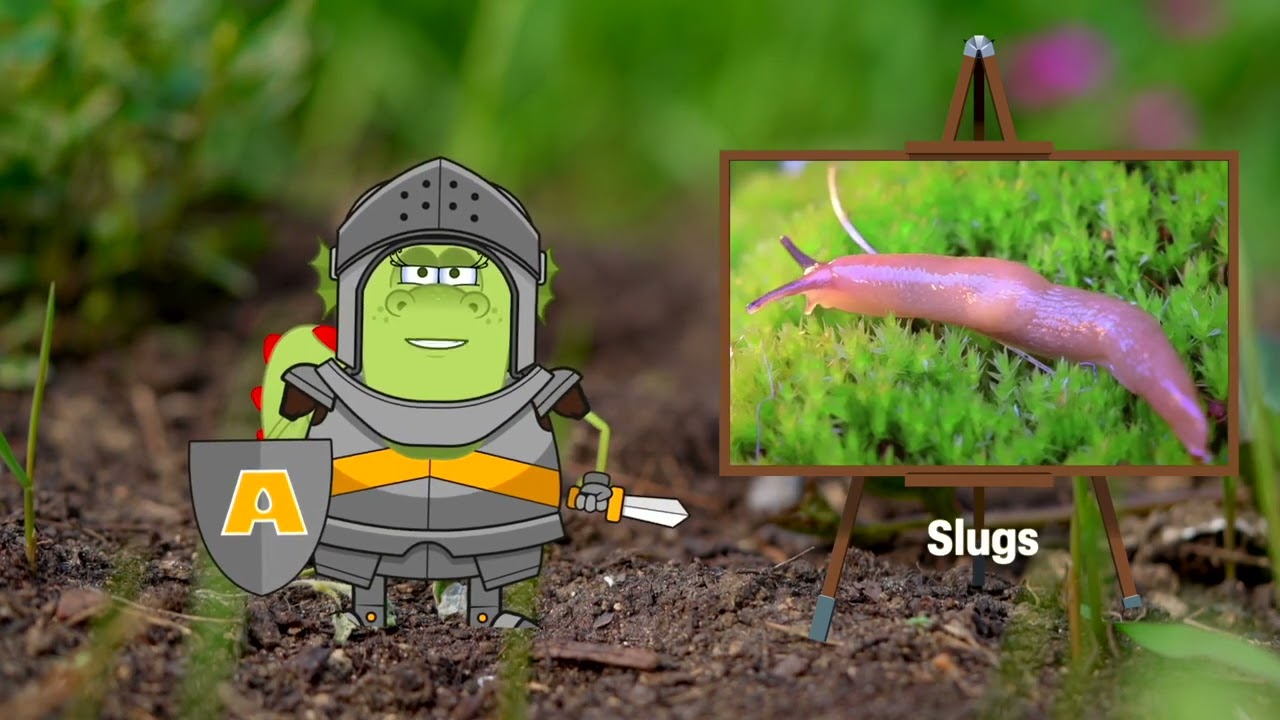 Agralan Bio Control & Nematodes