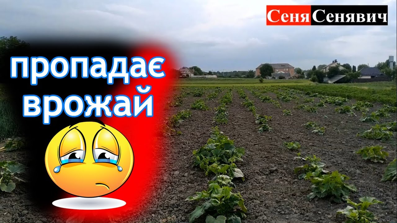 Даєм 