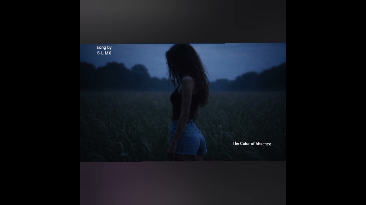 S-LIMX - The Color of Absence