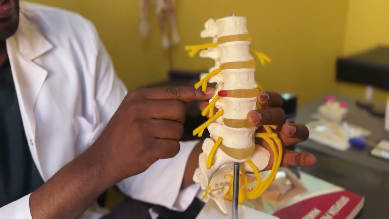 Découvrez le Centre Al-Ramla de physiothérapie et ses services
