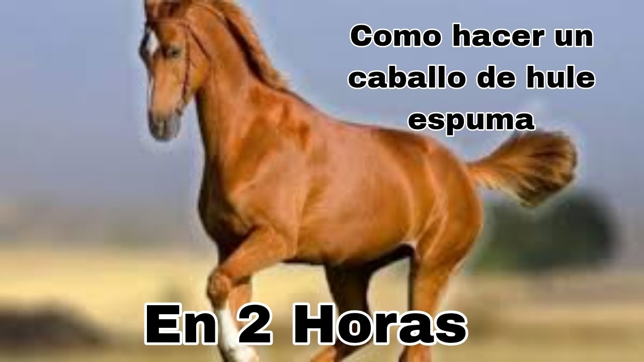 Como hacer un caballo de hule espuma en 2HORAS, PARTE 1