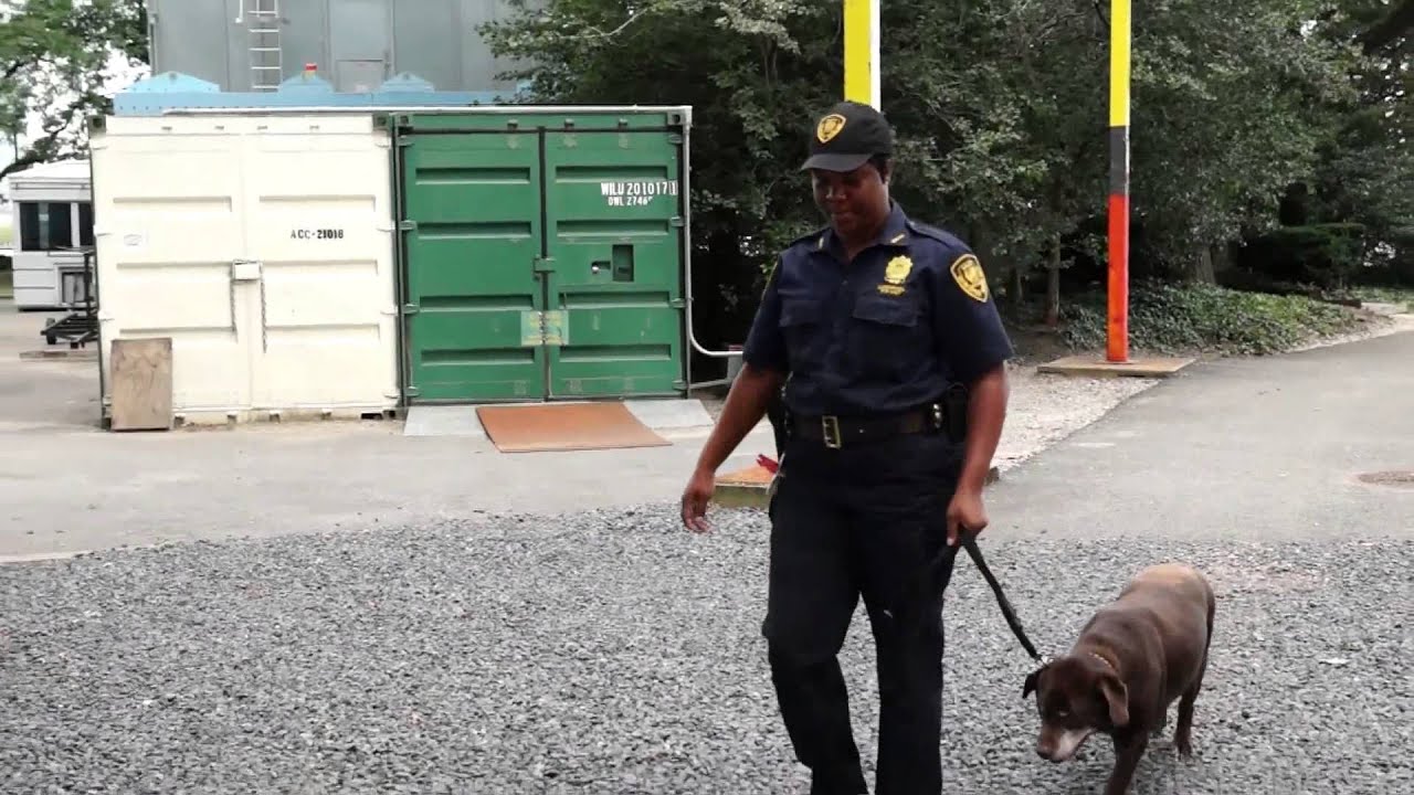 Security -  UN News Centre's original series, A Day in the Life