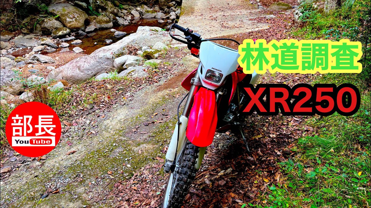林道調査×XR250 2025-11-30【モトブログ】