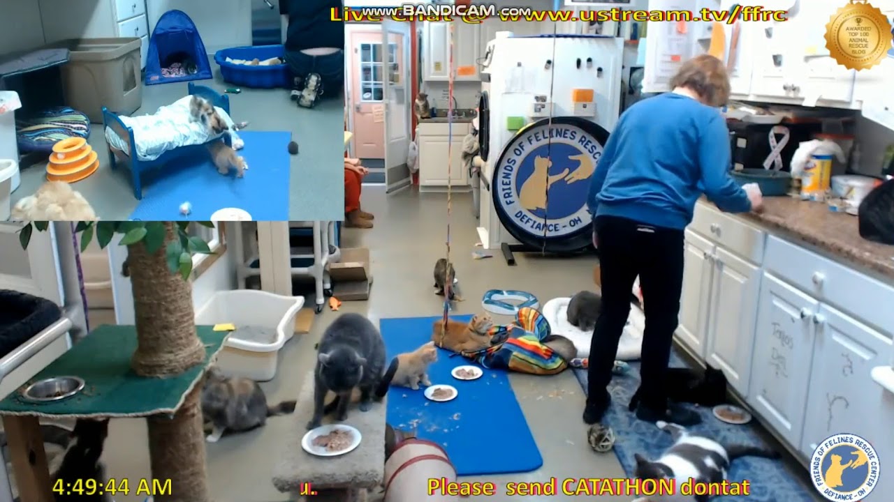 FFRC - Ramsay sneak attack on Coralie - 2018.04.05