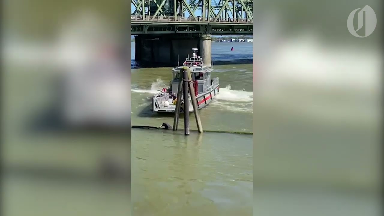 Vancouver Fire Boat rescues man from Columbia River