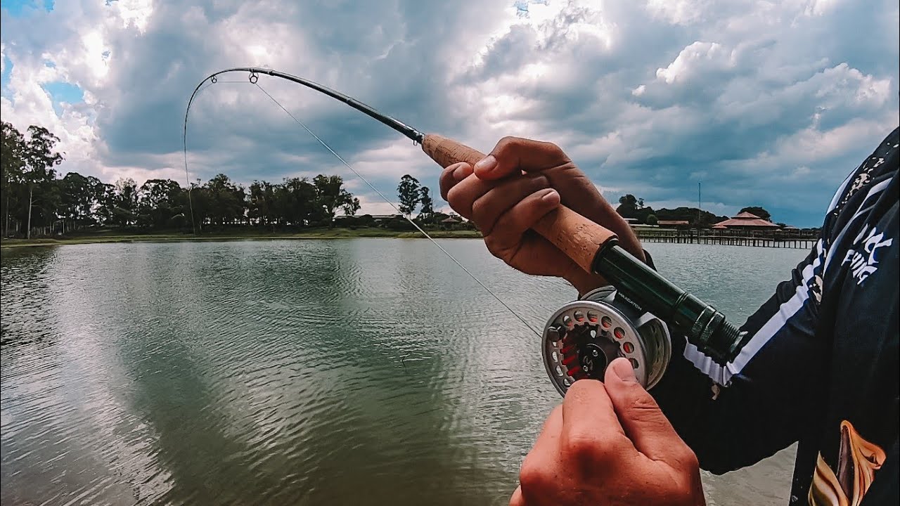 DIA DE ESTREIA NO FLY FISHING, SERÁ QUE DEU BOA NESTA NOVA MODALIDADE?