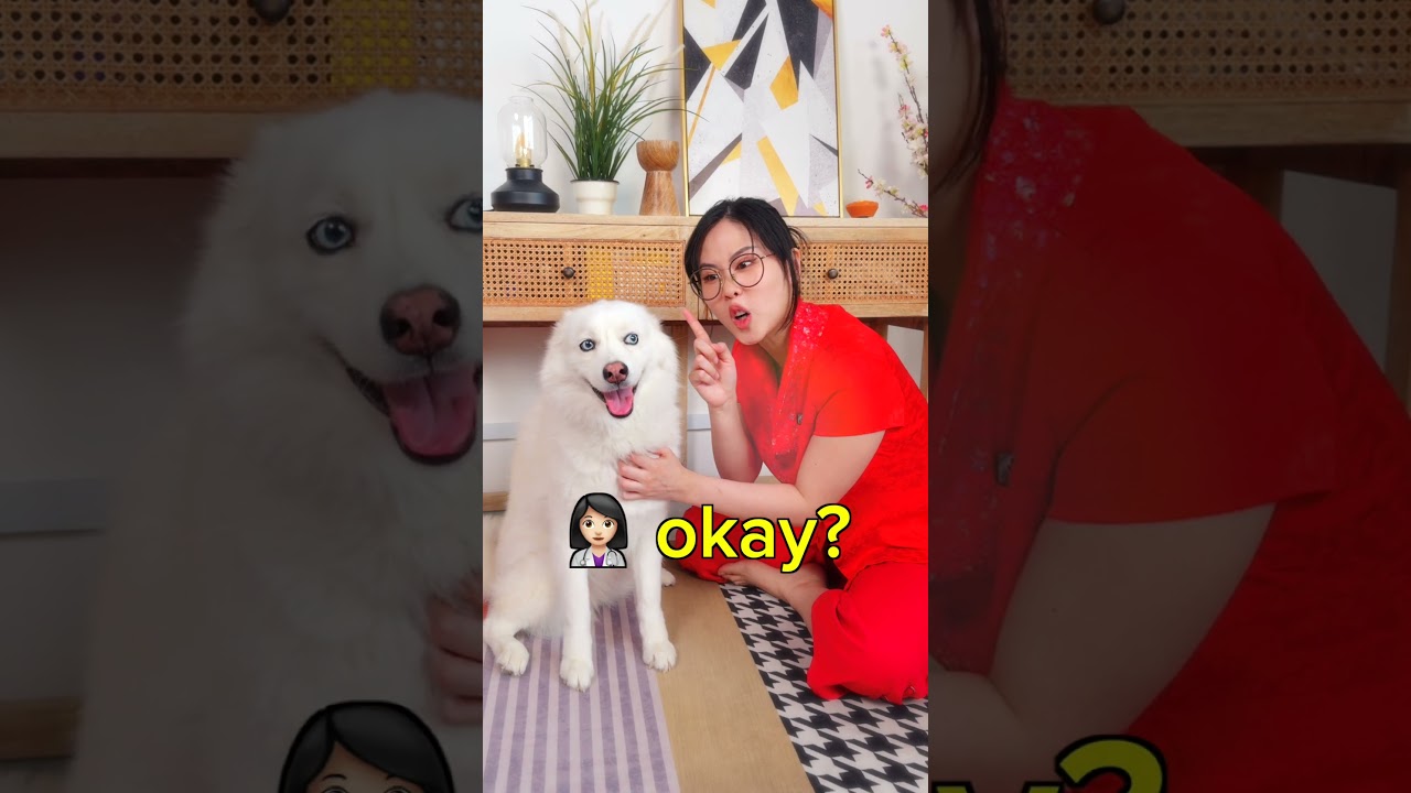Asian Mums when You Get a Pet #shortsfeed