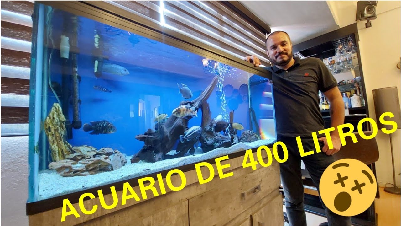 ALEJO Y SU ACUARIO COMUNITARIO DE CICLIDOS AFRICANOS Y AMERICANOS