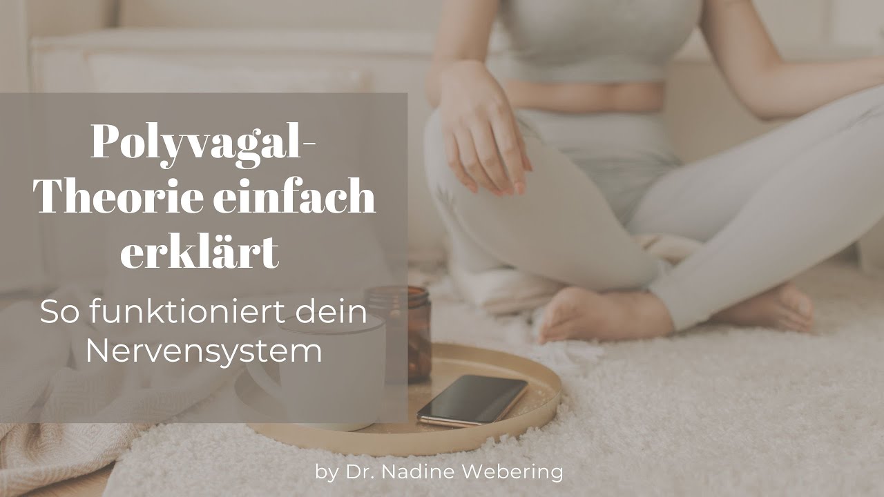 Polyvagaltheorie einfach erklärt – So funktioniert dein Nervensystem