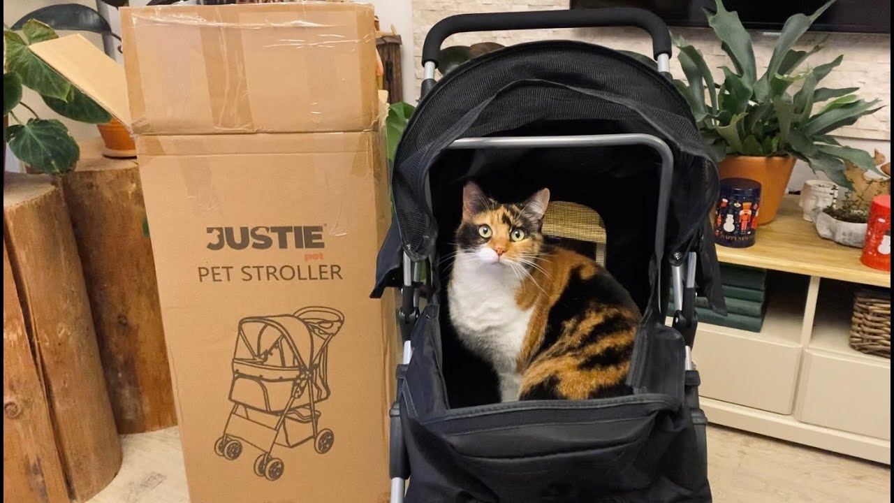 Kedimize puset aldık - Justie Pet Petronas Unboxing