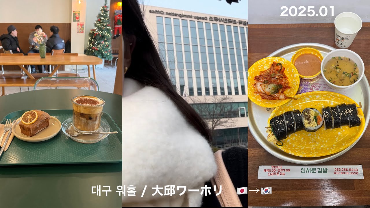 대구 워홀 VLOG  / 大邱ワーホリ #3