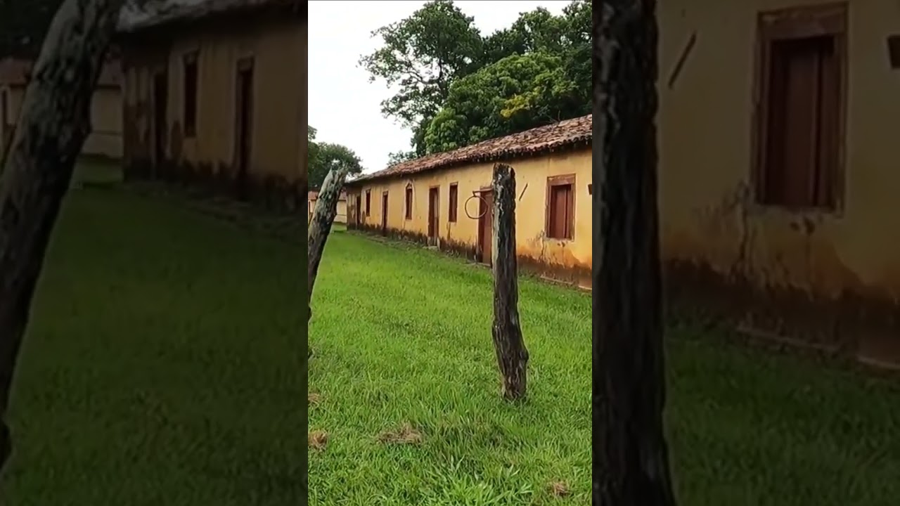SENZALA original at&eacute; hoje - muita hist&oacute;ria