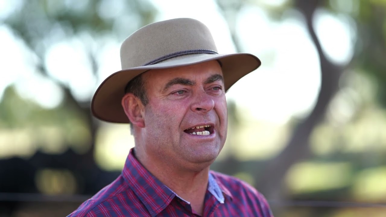 Andes Angus Sale Video