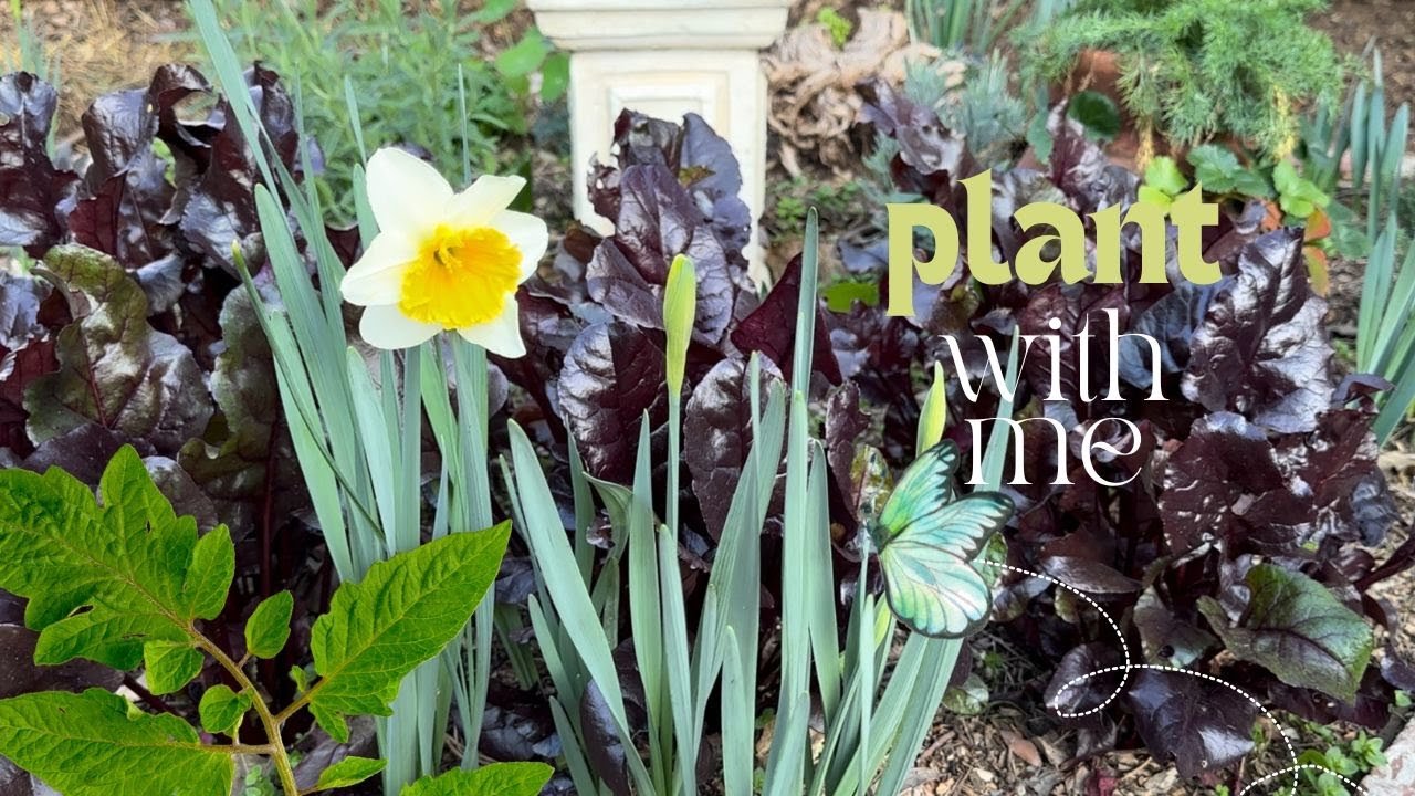 Spring Gardening in California