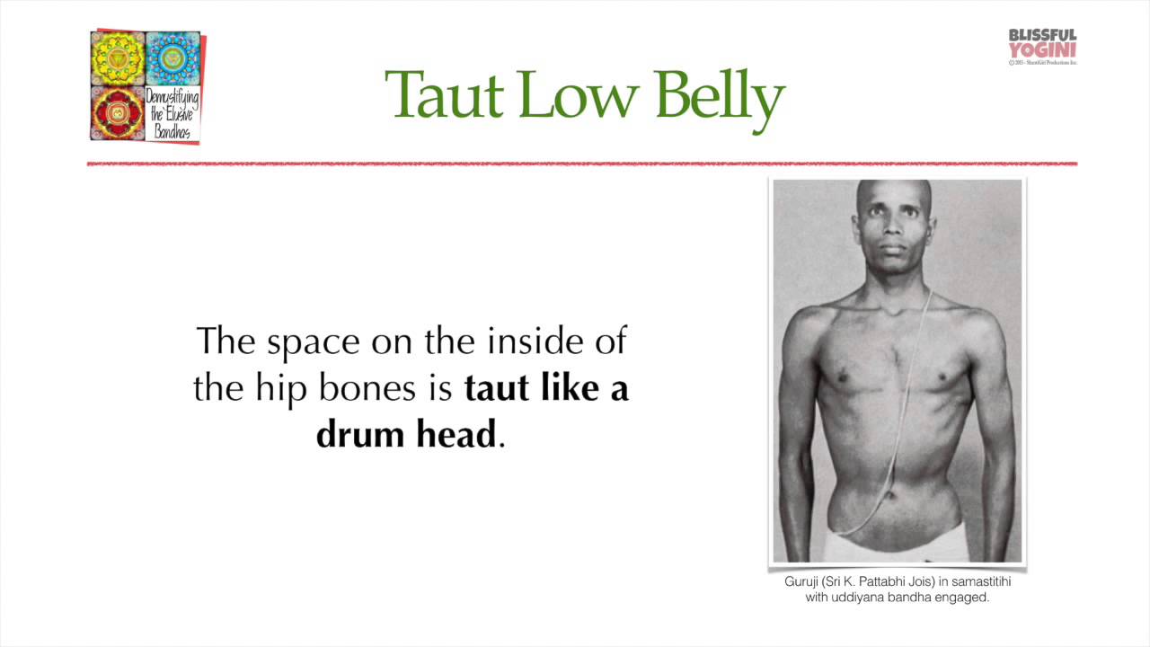 Demystifying the Elusive Bandhas - Uddiyana Bandha Anatomy