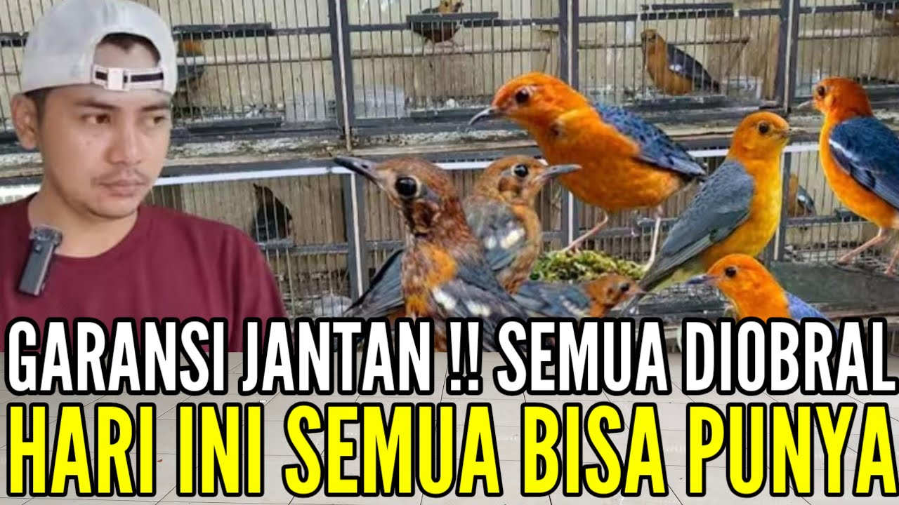 🔴 GARANSI JANTAN !! HARI INI SEMUA BISA PUNYA SPESIAL CUCI GUDANG 0838-7553-6945