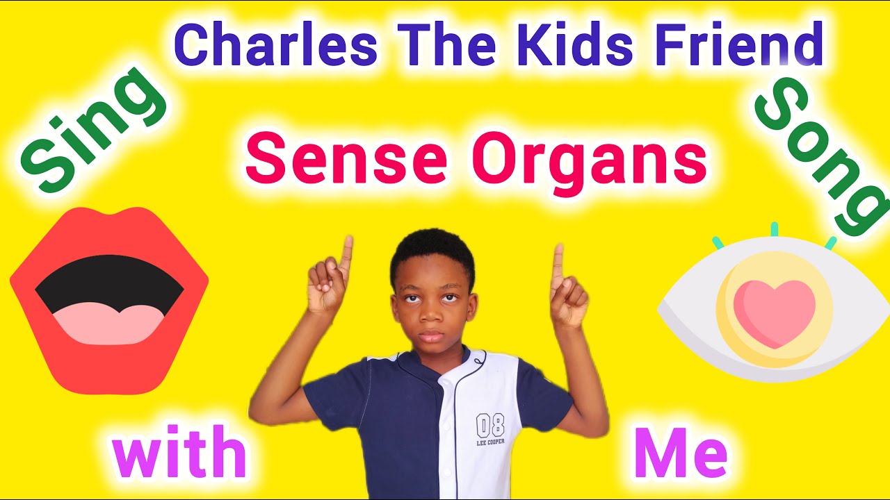 The 5 Senses Song for Kids | Fun Learning for Toddlers & Preschool
