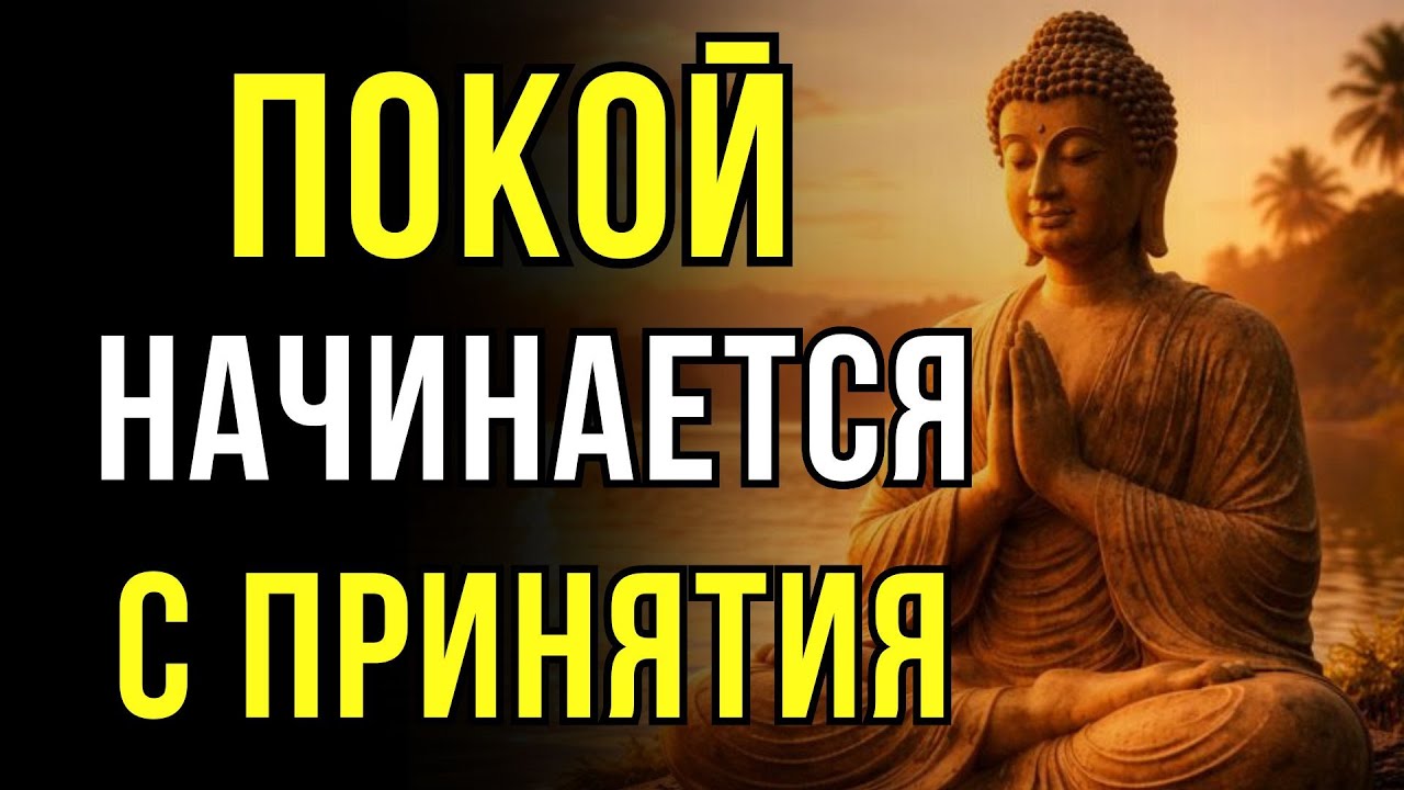 Мир приходит, когда ты перестаёшь бороться с реальностью | Буддийская правда
