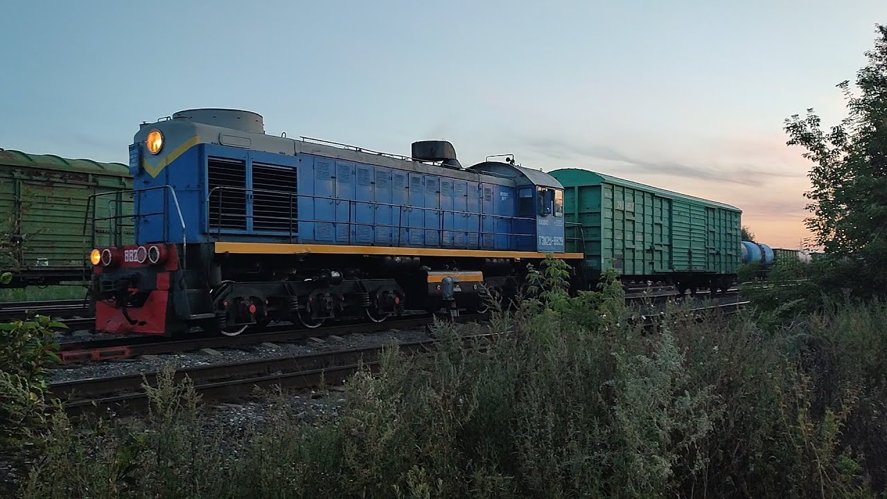 ТЕПЛОВОЗ ТЭМ2У-8829 НА МАНЁВРАХ