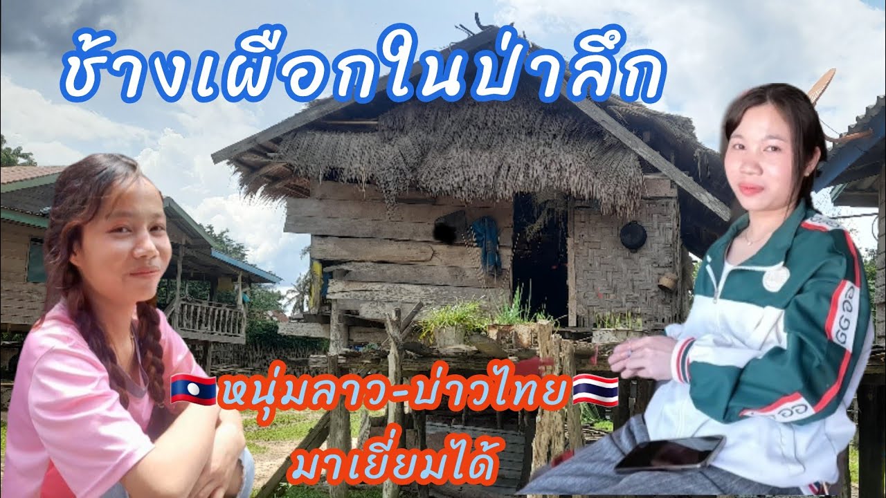 ช้างเผือกในป่าลึกความฝันอยากมี มอเตอร์ไซค์ 2 มีนาคม ค.ศ. 2026