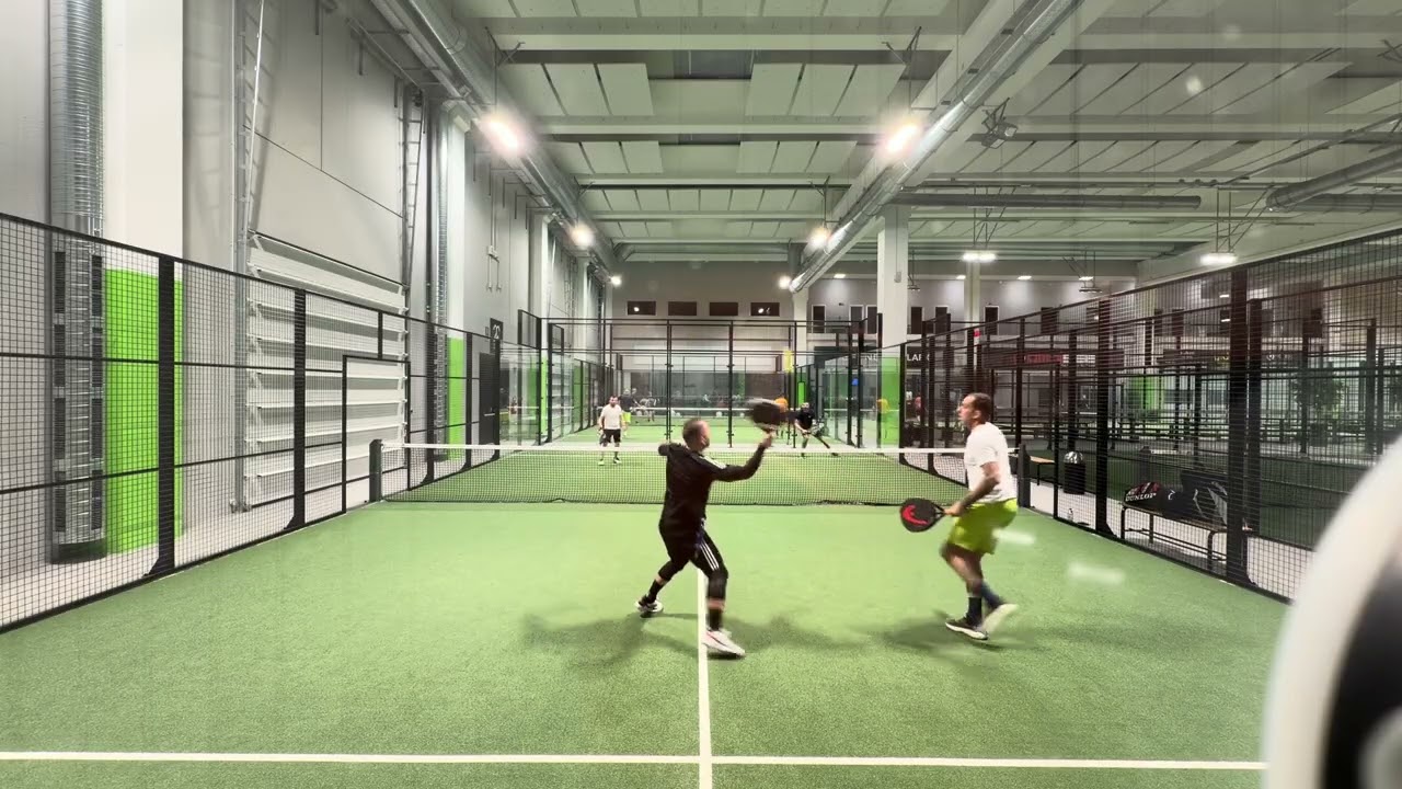 Albani vs angelino
