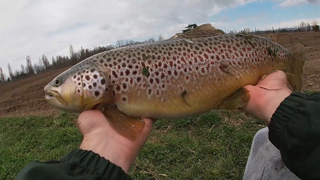 Pesca in Adige e Fibbio 