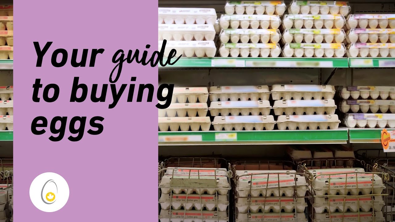 The journey of the egg: Buying
