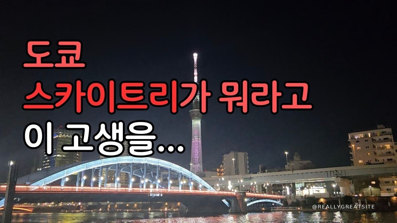 일본의 온천마을에서 시내버스 타고 44개 정류장을 지나 도쿄까지 최악의 교통 체험기, 스카이트리가 뭐라고.#도쿄스카이트리,#스카이트리,#일본교통 #일본여행 #온천여행