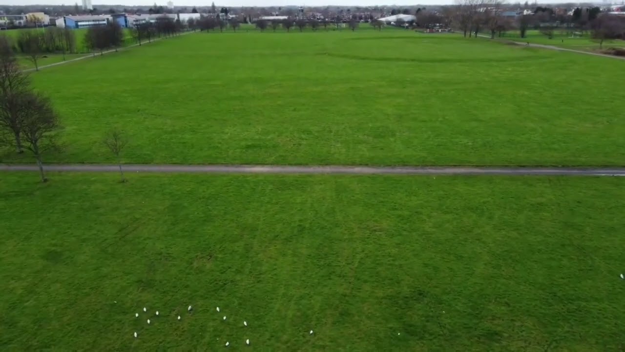OUT IN THE PARK 