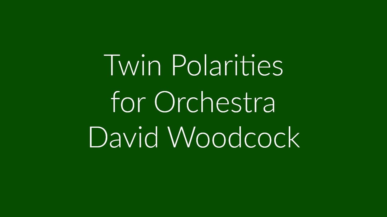 Twin Polarities for Orchestra