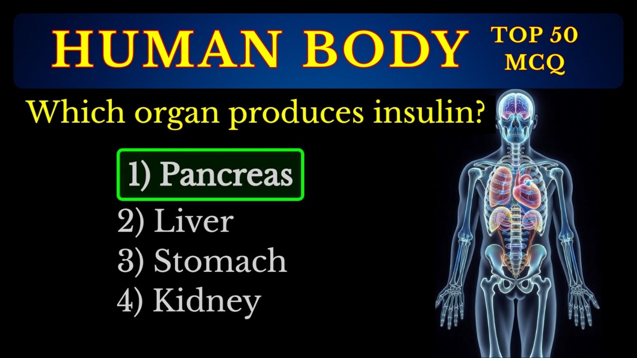 Human Body MCQs | Only Geniuses Ace