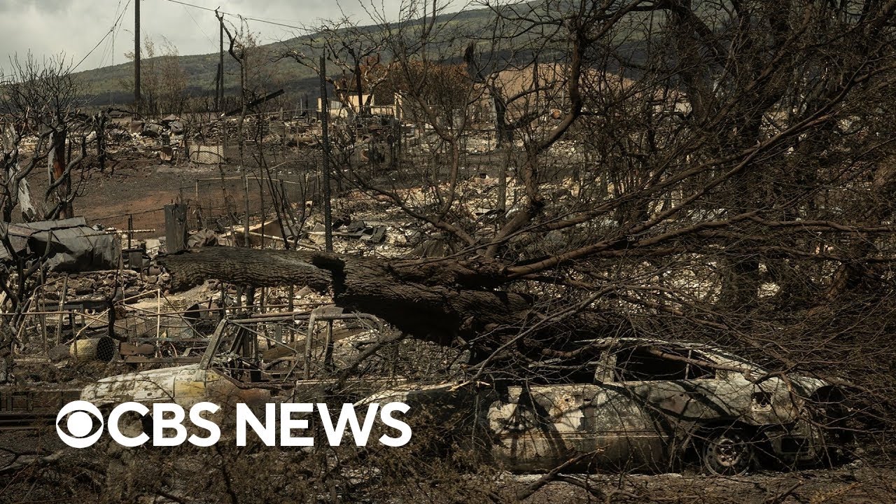 Lives, homes, priceless artifacts: A closer look at the cost of the Hawaii wildfires