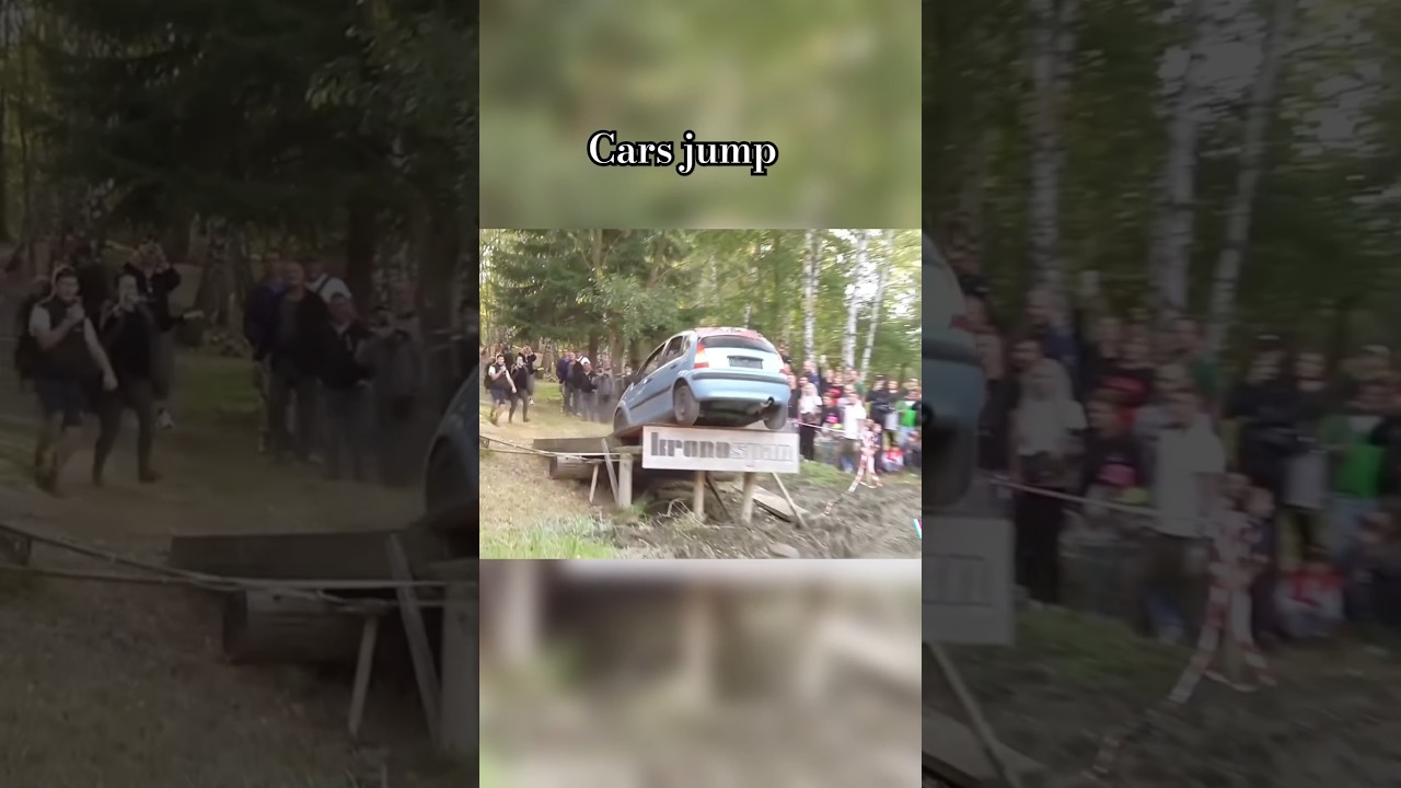 Swamp jumps + rescue bear 🐻 car wreck best of compilation 2023
