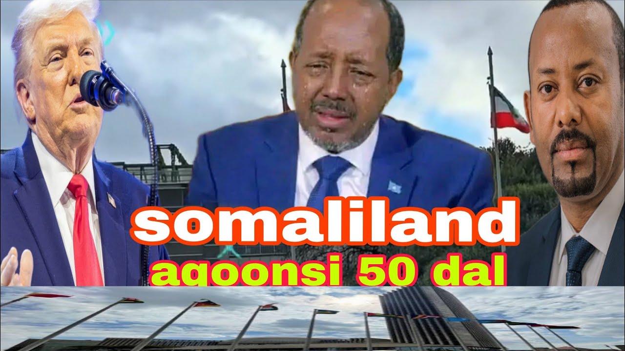 OOHIN: xasan shiikh hortiisa ayaa la sudhey calankii s.land midowga africa.