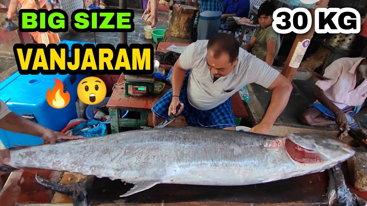 30KG Vanjaram Fish Cutting Full Video🔥😲 | BIG VANJARAM SLICE |