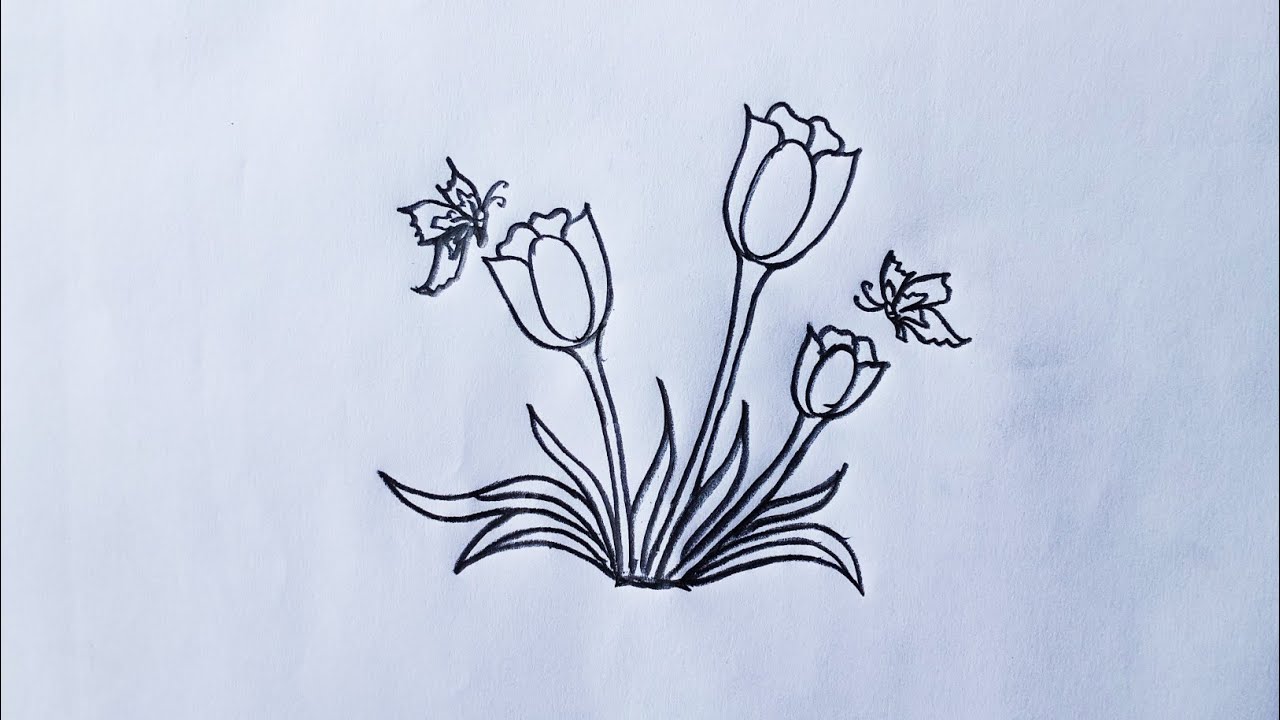 Tulip flower drawing...🌷