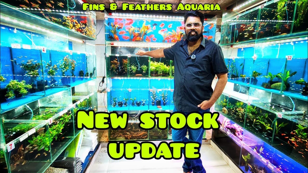 Amazing New Fish & Aquatic Plant Stock Update + Heiko Bleher Tribute| Fins & Feathers Aquaria Mumbai