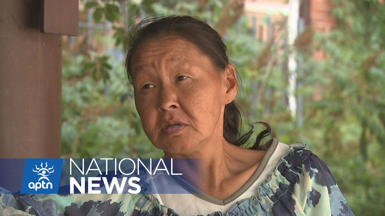 Remembering Annie Pootoogook | APTN News