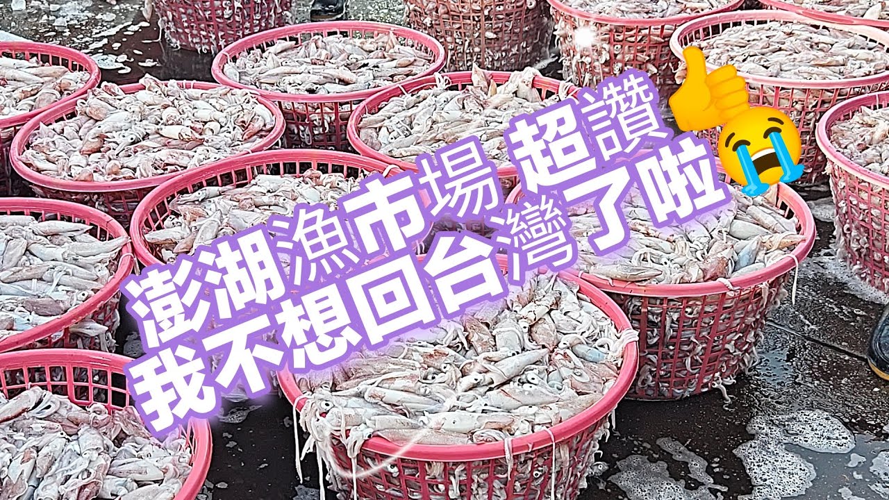 讓你逛到不想回家 澎湖漁市場