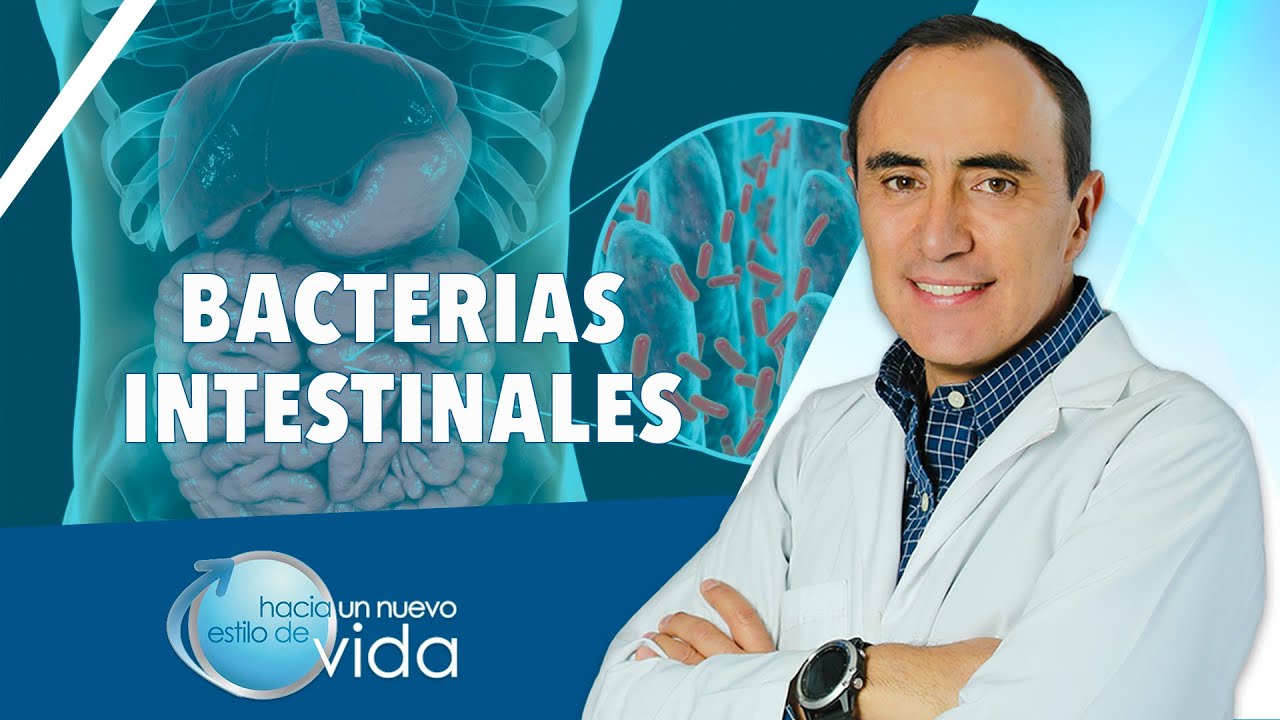 BACTERIAS INTESTINALES - HACIA UN NUEVO ESTILO DE VIDA