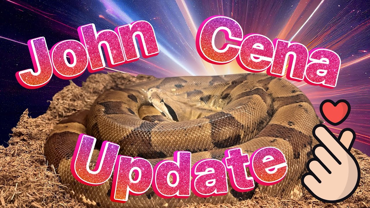 Checking in with John Cena