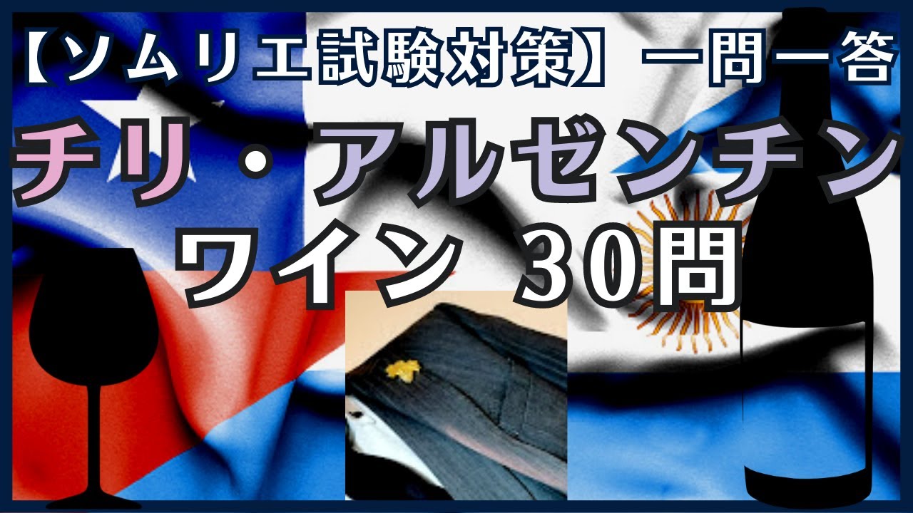 #38【2023年】チリ・アルゼンチンワイン一問一答　1.5倍速推奨　ソムリエ試験対策　◆独学(予測問題)