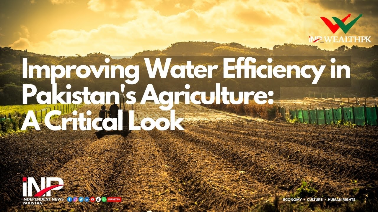 Improving Water Efficiency in Pakistan's Agriculture: A Critical Look