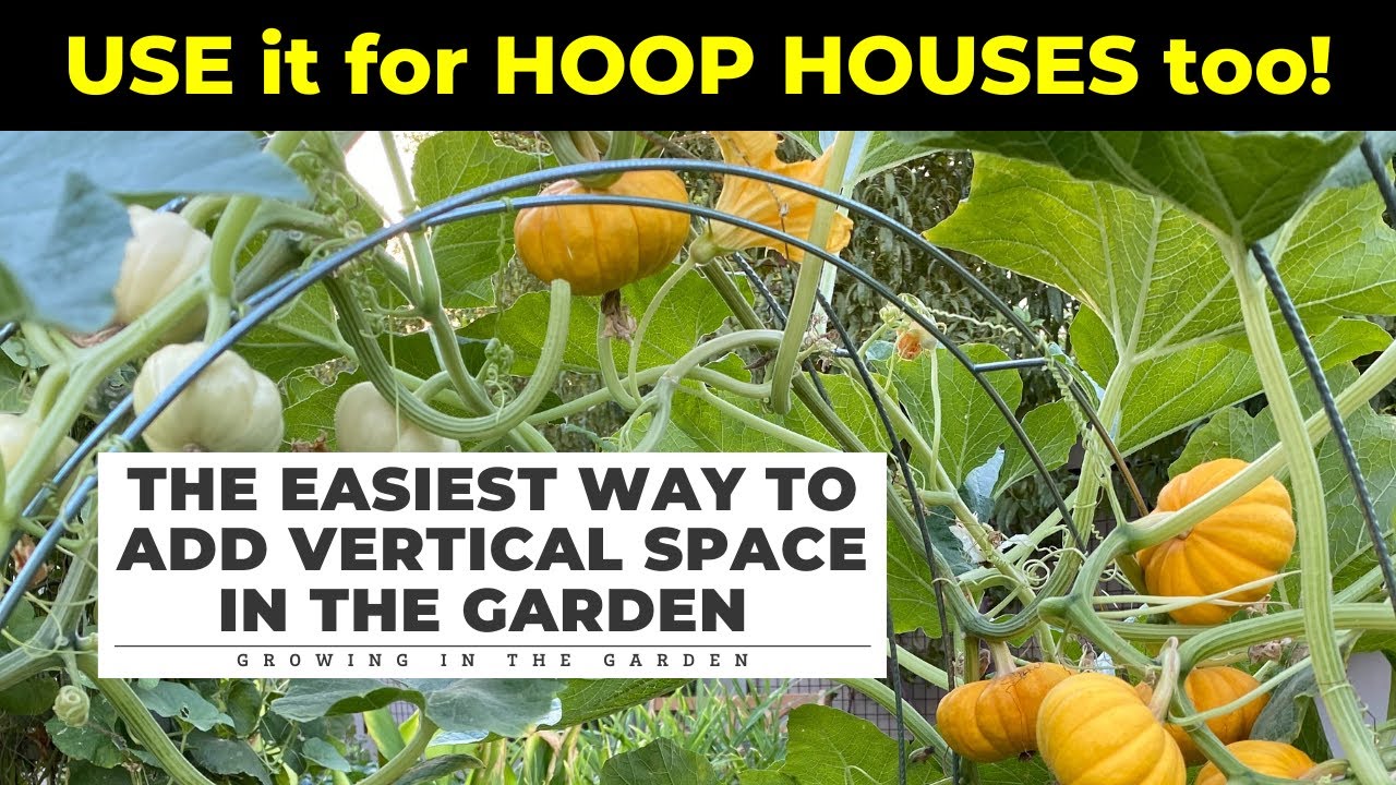 EASY (& CHEAP!) way to ADD VERTICAL GARDENING SPACE: Works for HOOP HOUSES too!