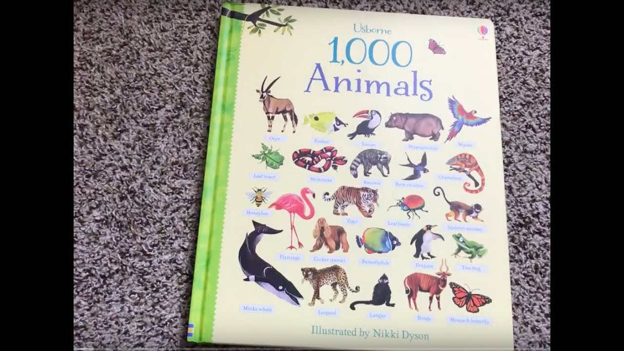 1000 Animals 🐍🐢🐫🦁 Usborne Books & More