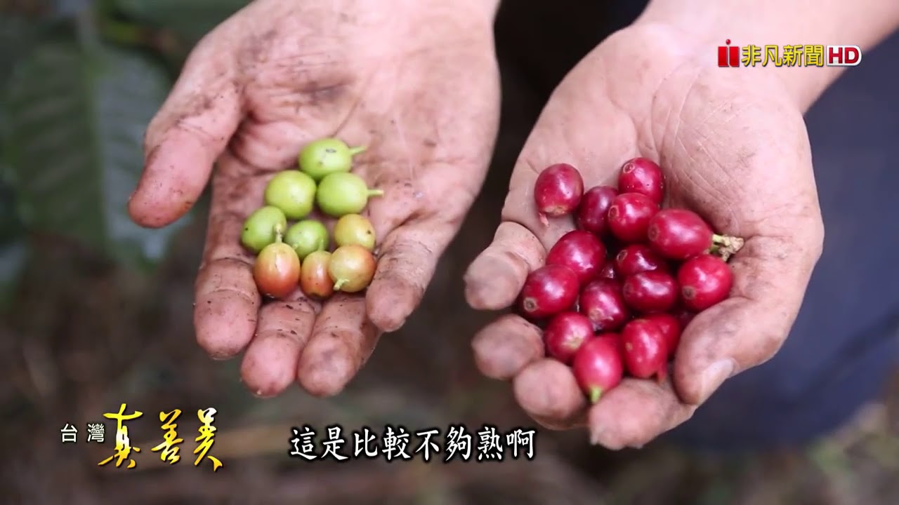 美妙山咖啡｜台灣真善美【科技人的緬甸咖啡夢】