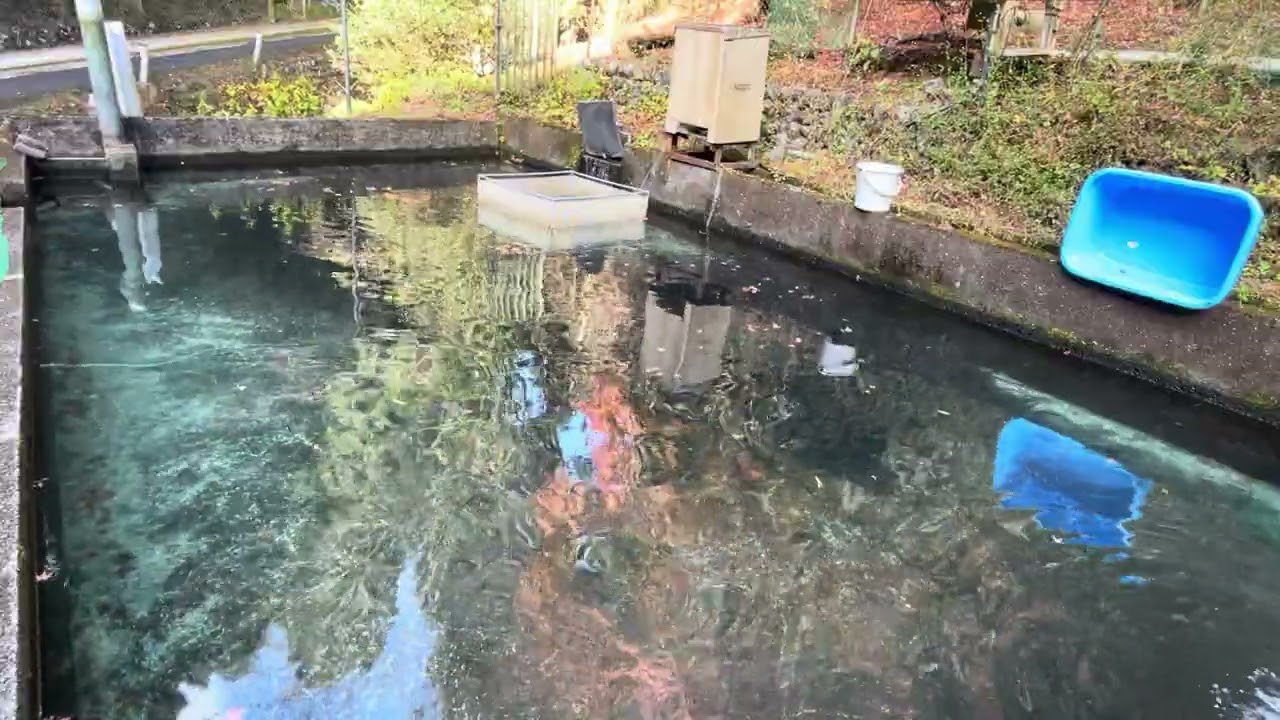 20251204飼育管理